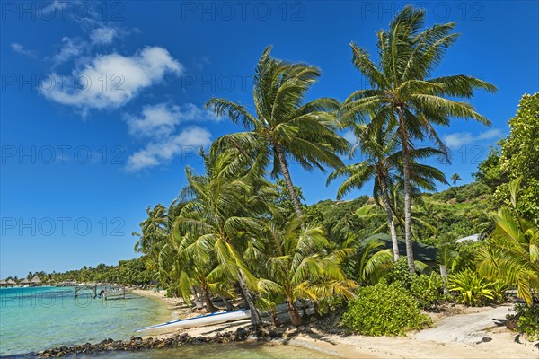 Beach with lush vegetation