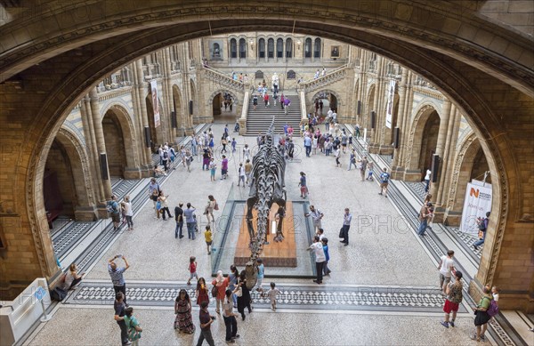 Great entrance hall with dinosaur skeleton