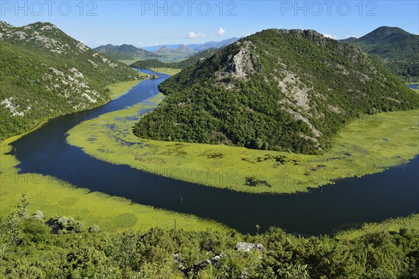 Big bend of river Rijeka Crnojevica