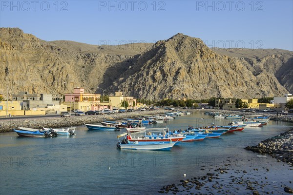 Fishing boats in the harbour