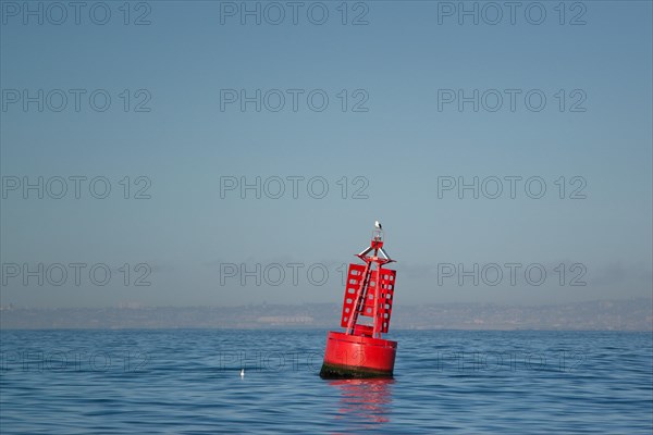 Buoy