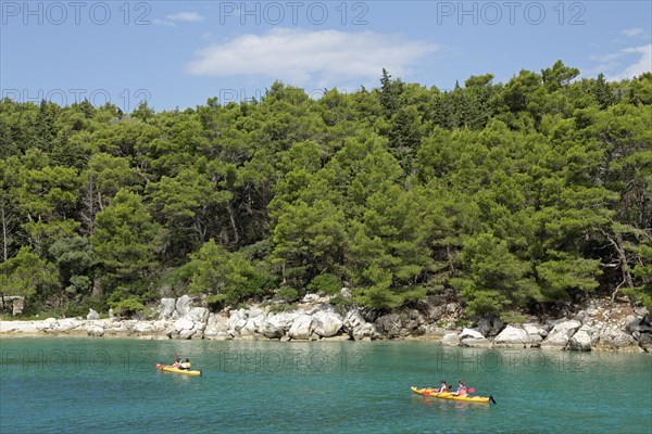 Paddlers