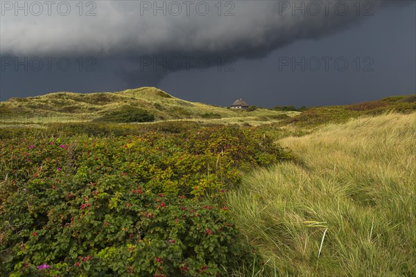 Dramatic storm clouds over dunes