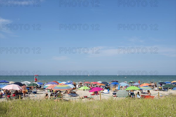 Sea and a sandy beach with sunshades