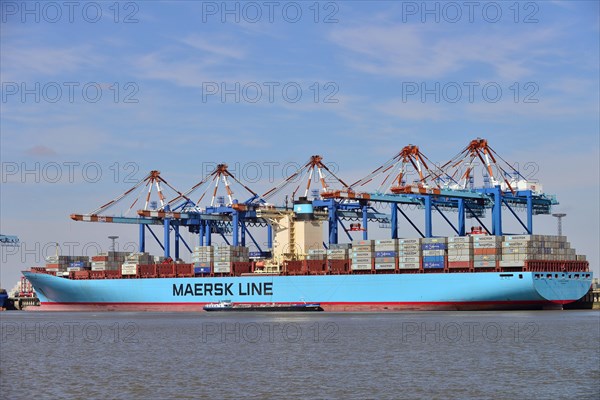 Container ship and gantry cranes