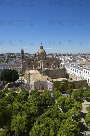 Cathedral La Colegiata del Salvador