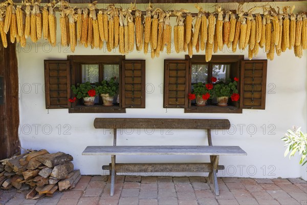 Corn cobs hanging in front of a house