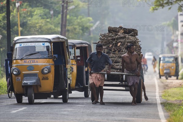 Day labourers pulling a cart laden with wood