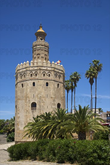 Torre del Oro on the waterfront of the Rio Guadalquivir