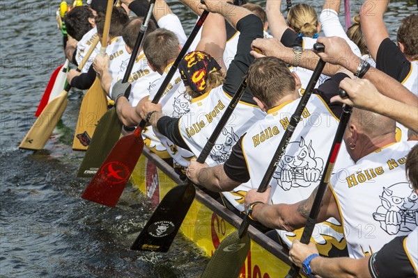 Dragon boat regatta