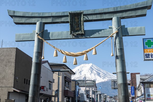 Torii