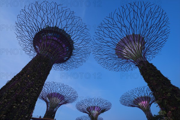 Supertrees