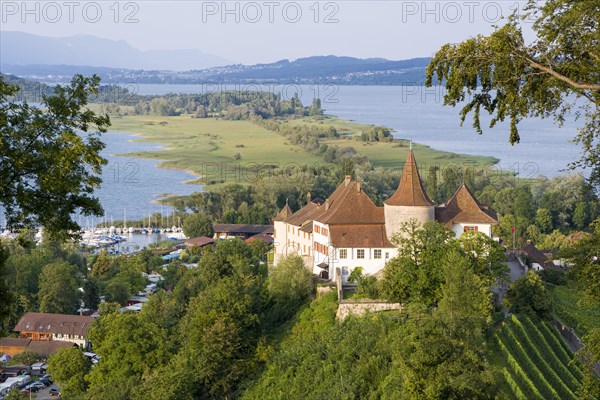 Erlach Castle