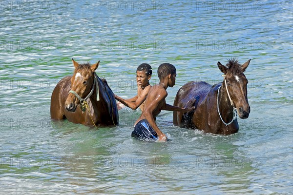Boys washing horses in the water