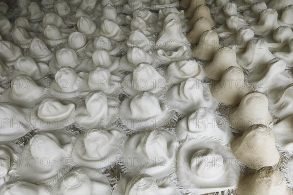 Moulded blank Panama hats are left to dry out