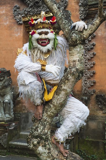 Balinese Kecak dancer