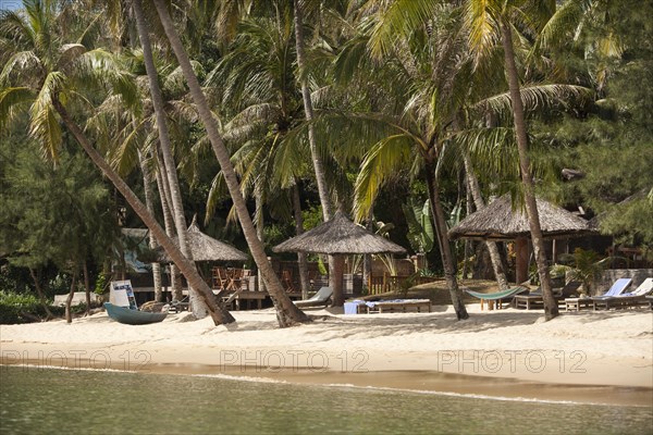 Beach with coconut trees