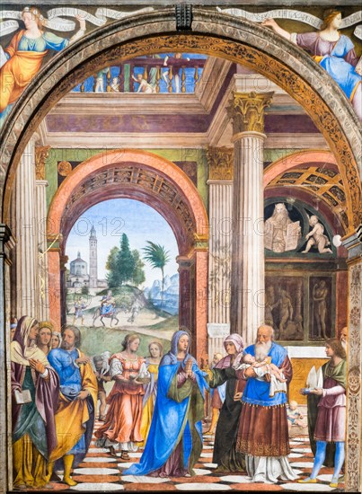 Circumcision of Jesus in the Temple