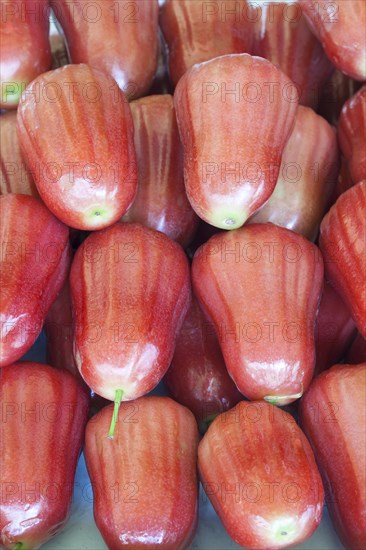 Rose apples on sale at a market