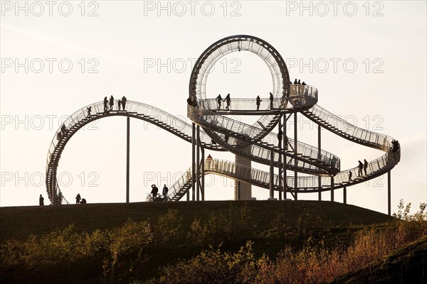 Landmark Tiger & Turtle - Magic Mountain