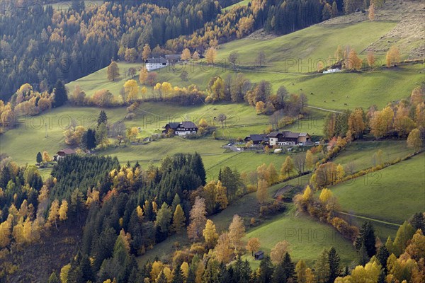 Farms in Liesertal at Kremsbrucke