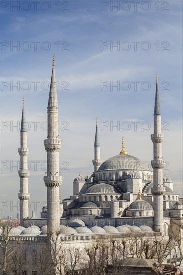 The Blue Mosque