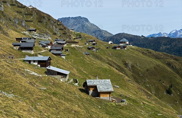 Mountain pasture