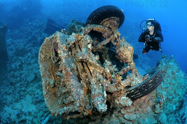 Diver looking at Bedford military trucks abandoned in the Red Sea during the Six Day War