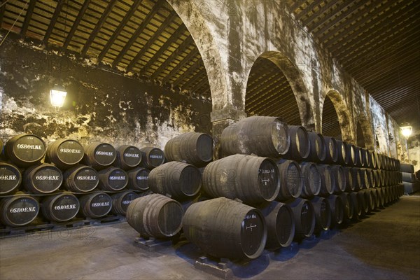 Sherry barrels in the Osborne Winery