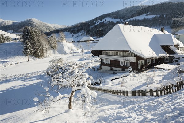 Old Black Forest house and snow-covered landscape