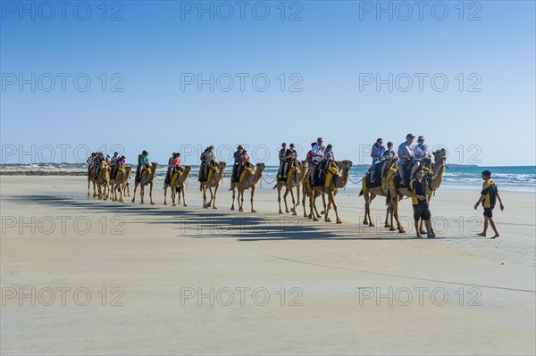 Tourists riding on camels on Cable Beach