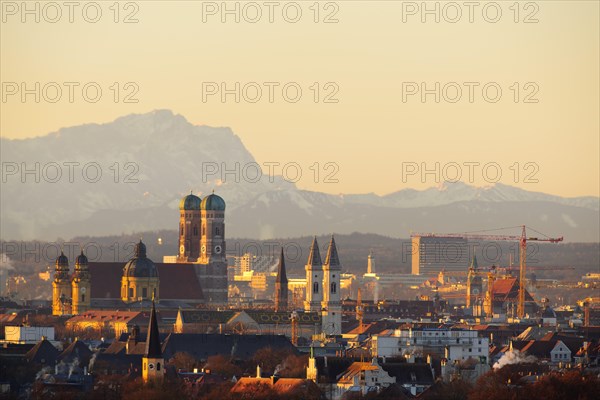 Theatine Church