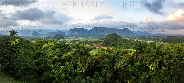 Valle De Los Ingenios