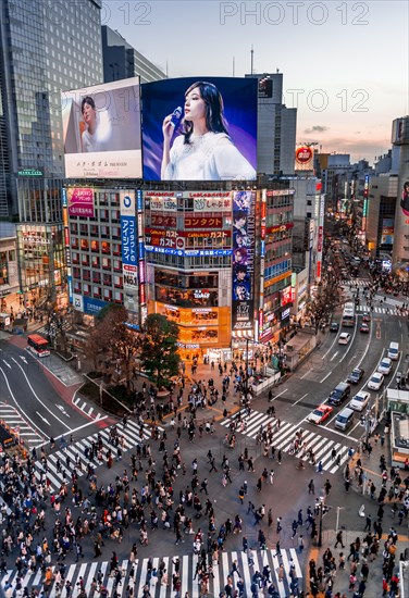 Shibuya Crossing from above