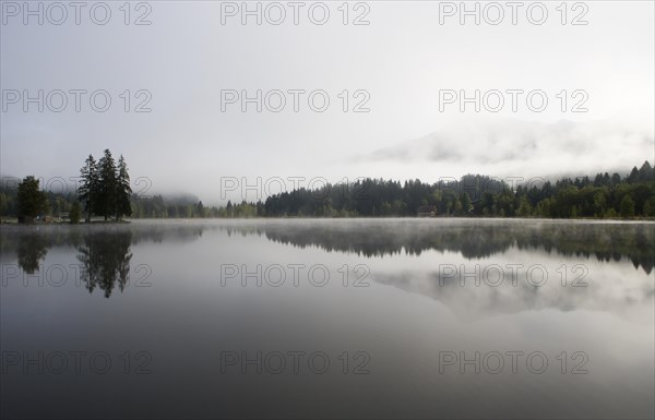 Morning fog