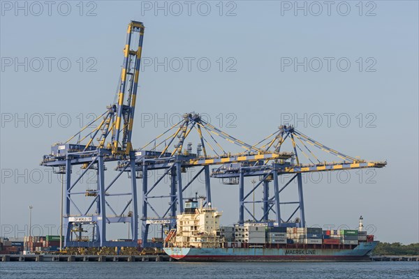 Container ship of Maersk Line