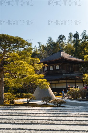 Rock garden