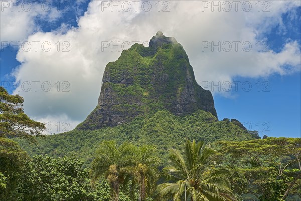 Mont Tohiea volcano