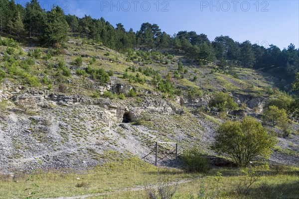 Secret Fuhrer headquarters for Hitler