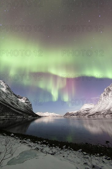 Aurora over the Grotfjord