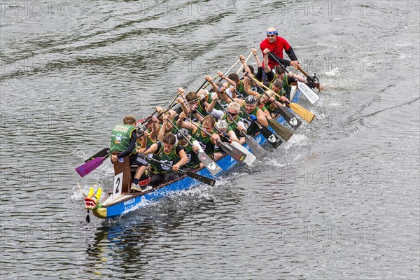 Dragon boat regatta