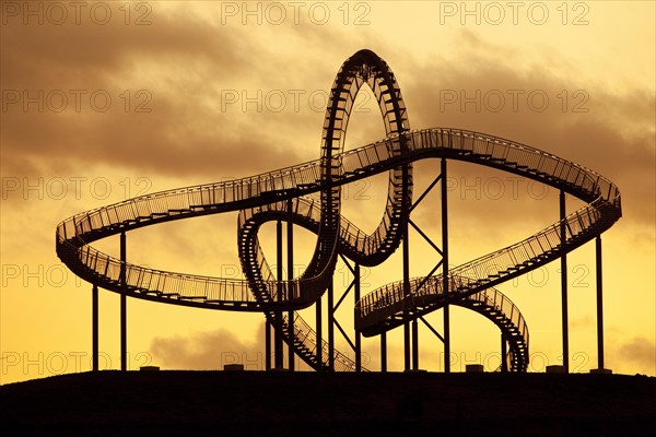 Landmark Tiger & Turtle - Magic Mountain