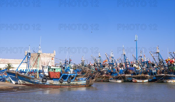 Fishing boats in the port of Essaouira