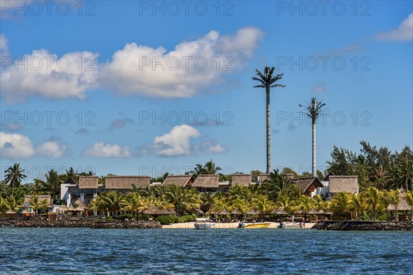 Cell towers disguised as Palm trees