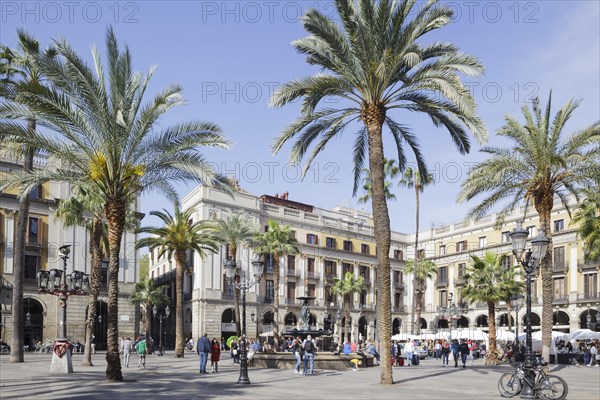 Placa Reial