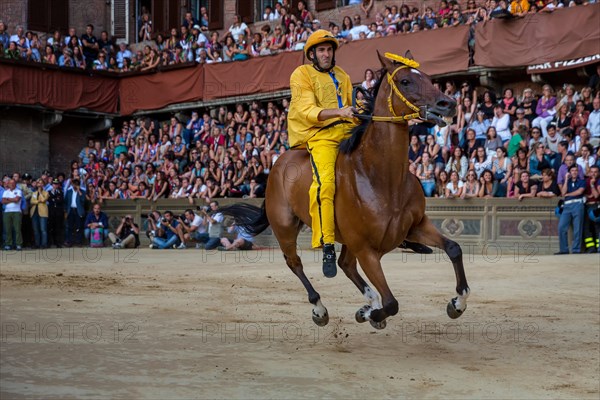 The Palio di Siena horse race on Piazza del Campo