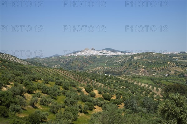 Olvera with the Nuestra Senora de la Encarnacion church and a Moorish castle