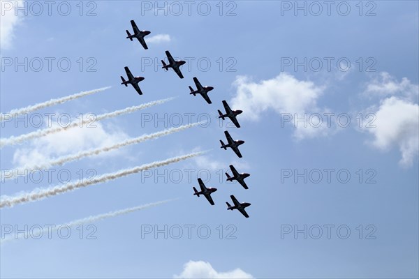 The Canadian Forces Snowbirds aerobatic team air show