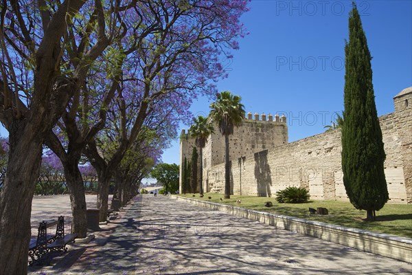 Alcazar de Jerez