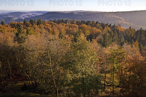 Teutoburg Forest in autumn from the Hermann monument